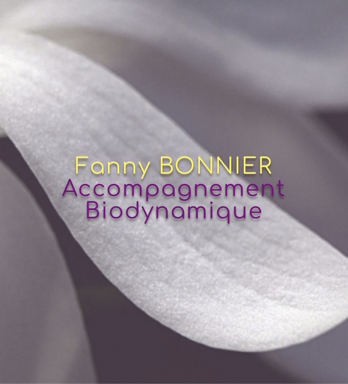 Fanny Bonnier